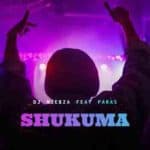 DJ Njebza Shukuma Mp3 Download