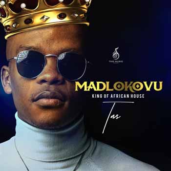 DOWNLOAD TNS Madlokovu: King of African House Album (Zip)