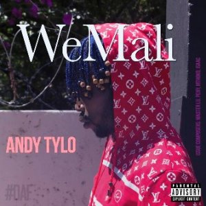 Andy Tylo - WeMali