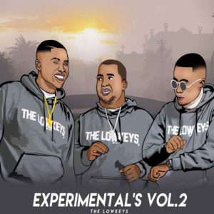 The Lowkeys 012 - Experimentals Vol 2 MP3 Download