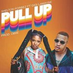 Shelton Forbez – Pull Up ft. Gigi Lamayne mp3 download