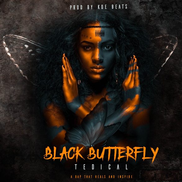 Tedical – Black Butterfly mp3 download