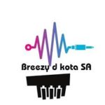 Breezy D Kota – Log Drum Fire Mp3 download