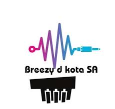 Breezy D Kota – Log Drum Fire