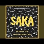 Michelle Fani – Saka Ft. Sporo Wabantu & 40d mp3 download