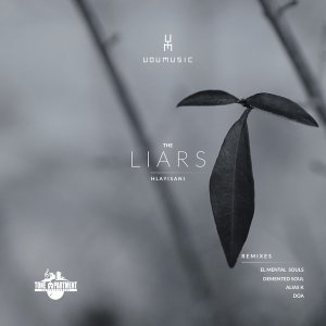 Udumusic, Hlayisani – The Liars (Original Mix)