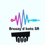 Breezy D Kota – Drunken Piano