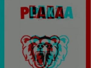 DJ Plaka SA – Maybe mp3e download
