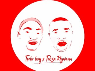 Tsebe Boy & Tebza Ngwana – Sgubhu sa Pitori Vol 1 Ft. Fearless Elements mp3 download