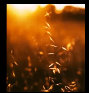Aaaron – Java (Original Mix)