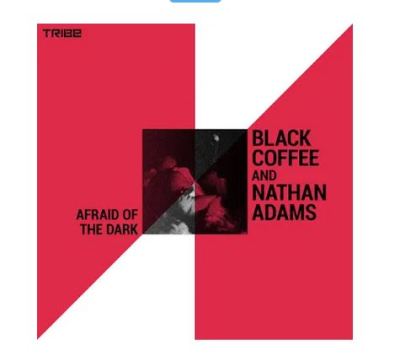 Black Coffee & Nathan Adams – Afraid of the Dark (Oral Deep Mix) mp3 download