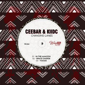 Ceebar, KiidC - Voices MP3 Download