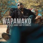 Dj Castro – Wapamako (Ft. Sunny Boy & Lioness) mp3 download