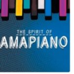 Dj Vigi – Amapiano mix 2020 The Spirit of Amapiano