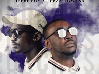 Tsebe Boy and Tebza Ngwana ft Lebo – You Bring The Best In Me