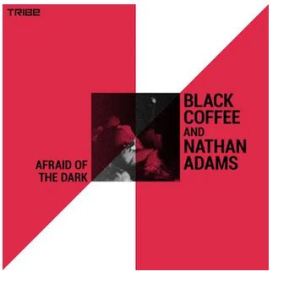 Black Coffee & Nathan Adams – Afraid of the Dark Ft. Sean Ali & Munk Julious(Midnight Mix)