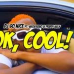 DJ So Nice – Ok Cool Ft. Wichi 1080 & Priddy