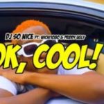 VIDEO: DJ So Nice – Ok Cool Ft. Wichi 1080 & Priddy VIDEO: DJ So Nice – Ok Cool Ft. Wichi 1080 & Priddy