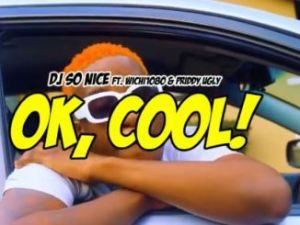 VIDEO: DJ So Nice – Ok Cool Ft. Wichi 1080 & Priddy