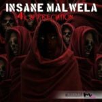Insane Malwela – 4k Appreciation Mix