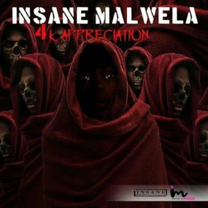 Insane Malwela – 4k Appreciation Mix