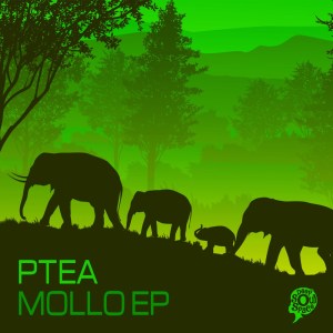 PTea – Mollo EP