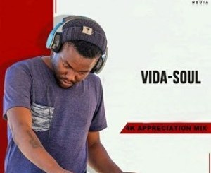 Vida-soul – Amapiano Afrotech Remixes EP