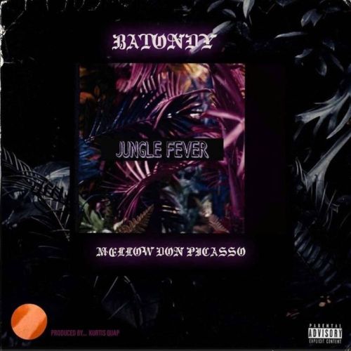 Batondy – Jungle Fever Ft. Mellow Don Piccaso