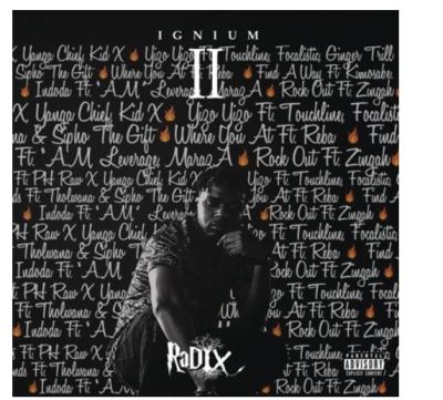 DJ Radix – IGNIUM II EP