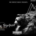 Mr Perfect - Jaiva Low (Revisit) ft DJ KS