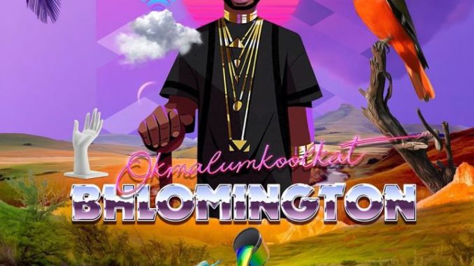 ALBUM: Okmalumkoolkat – Bhlomington