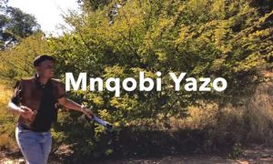 Mnqobi Yazo – Labhubha