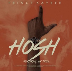 Prince Kaybee – Hosh Ft. Sir Trill (Studio Edit)