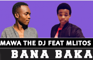 Salmawa The DJ – Bana Baka Ft. Mlitos (Original)
