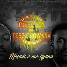 Tsebe Boy & Tebza Ngwana - Mosadi O Mo Byana