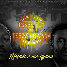 Tsebe Boy & Tebza Ngwana - Mosadi O Mo Byana VIDEO