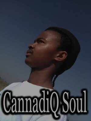 CannadiQ Soul – Welele Flavour #010