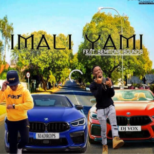 DJ Vox & Madrops – Imali Yami Ft. Semitone Sounds