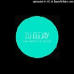 Dj Ceejay & Afro Masters – Endless Journey