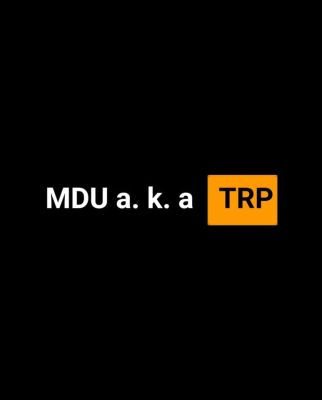 MDU aka TRP & BONGZA, Howard - When You Need Me (Original Mix)