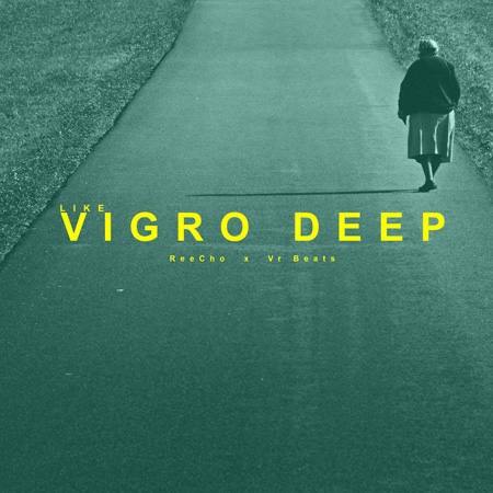 ReeCho & VR Beats - Like Vigro Deep