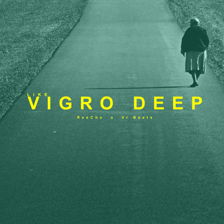 ReeCho & VR Beats – Like Vigro Deep