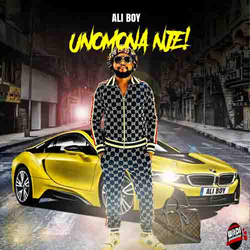 Ali Boy - Unomona Nje Mp3 Download