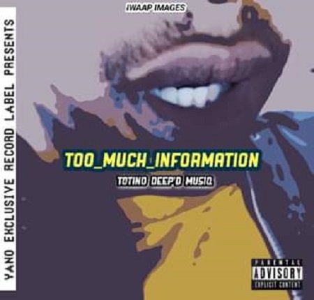 Totino Deep'D MusiQ - Too Much Information (Main Mix)