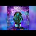 Kgzoo - Algebra