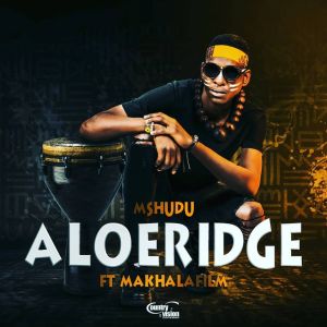 Mshudu Aloeridge ft Makhalafilm
