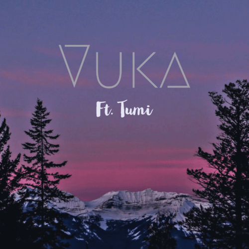Phonomental MusiQ – Vuka ft Tumi