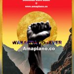 Supermusiq - Wakanda Forever (Original Mix) Mp3 Download