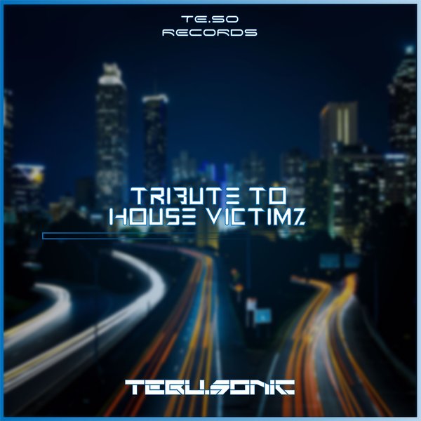 Tebu.Sonic – Tribute to House Victimz