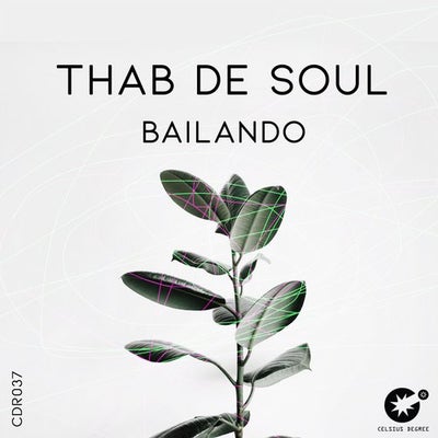 Thab De Soul Bailando (Original Mix).